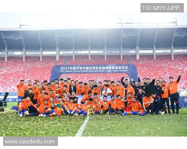 球迷狂欢盲盒球星足球揭晓神秘球员收藏新趋势