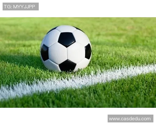 中国足球球星排名前十解析及其对中国足球未来的影响