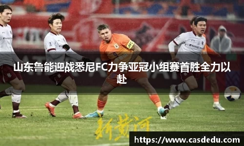 胜游官网